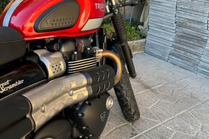 Triumph street scrambler 900