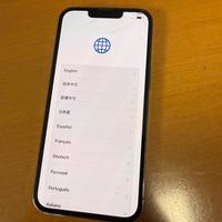 Iphone 13 pro 256 gb