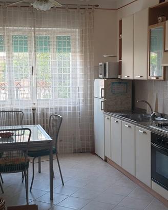 Appartamento piano terra 3 camere con giardino