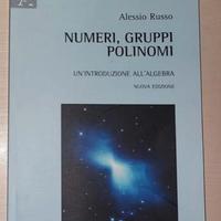 Numeri, Gruppi, Polinomi