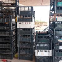 Cassette di plastica