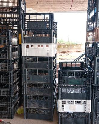 Cassette di plastica