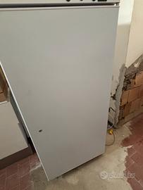 CONGELATORE VERTICALE