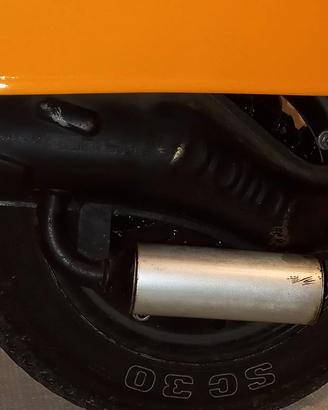 marmitta polini banana