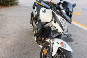 Hornet 600 2007