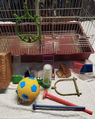 Gabbia per pappagallini con accessori