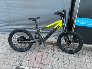 Sedna Sx 20   2025