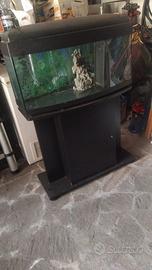 Acquario