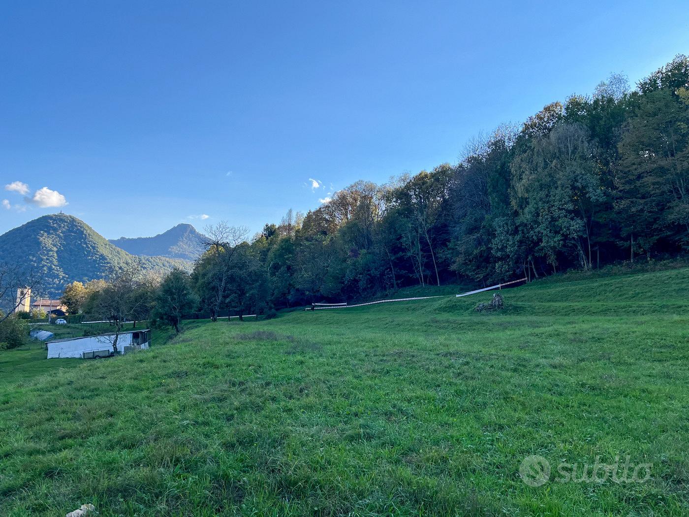 Terreno Residenziale Cerano d'Intelvi - Vista 6