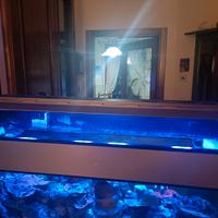 Plafoniera a led multicolors variabili per acquari