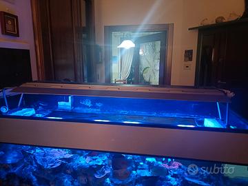 Plafoniera a led multicolors variabili per acquari