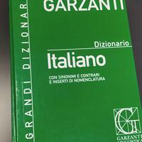 dizionario italiano