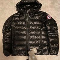 Canda goose 