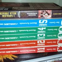 i cavalieri dello zodiaco