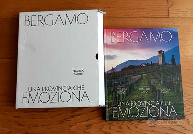 Libro Grafica e arte Bergamo 
