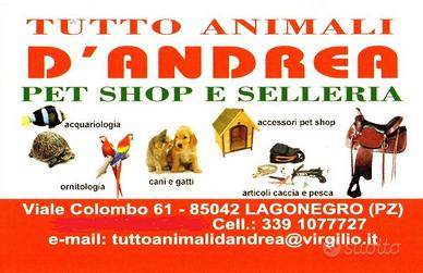 Attivita' commerciale pet shop