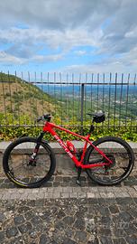Mountain bike Focus 