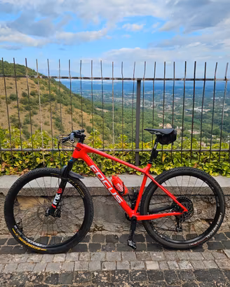 Mountain bike Focus 
