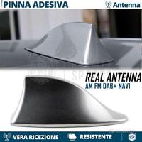 Antenna PINNA SQUALO per FIAT GRIGIA VERO SEGNALE