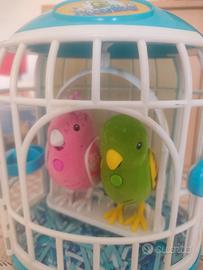 cocoritos con gabbia 