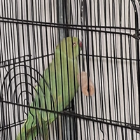 Solo per chi e interessato