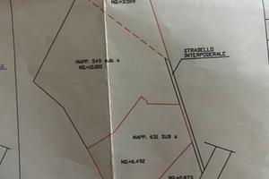 Terreno agricolo S.Antioco