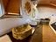 Immagine 27
