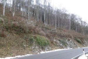 Immobile in asta di 65987 m² a Costa Valle Imagna