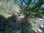 Immagine 22