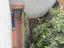 Immagine 22