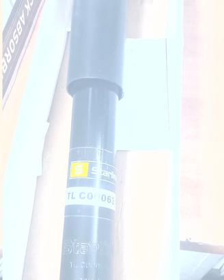 ammortizzatori posteriori 