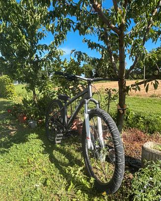 Biciclette