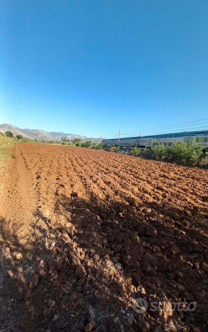 TERRENO AGRICOLO – FONDI (LT) - Vista 2