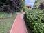 Immagine 28