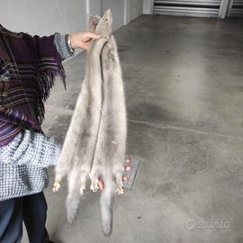 Sciarpa di visoni grigio perla