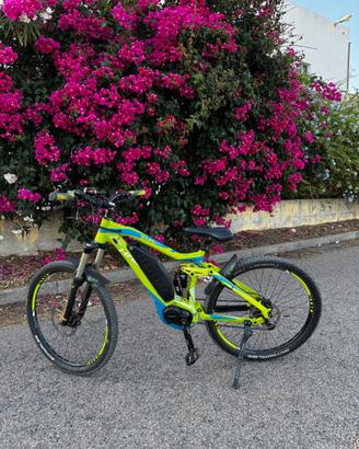 Bici pealata assistita