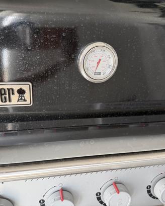 Barbecue WEBER Spirit e-410 a gas 4 fuochi