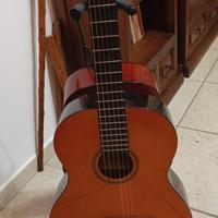 Chitarra acustica Eko 