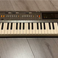 Casio synth Casiotone MT-800 + ROM RO-204