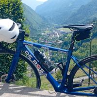 bici da corsa de rosa