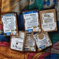 Hard disk Sata da 2,5 pollici