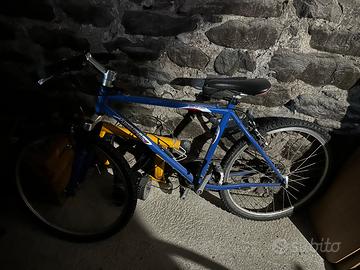 Bicicletta MTB