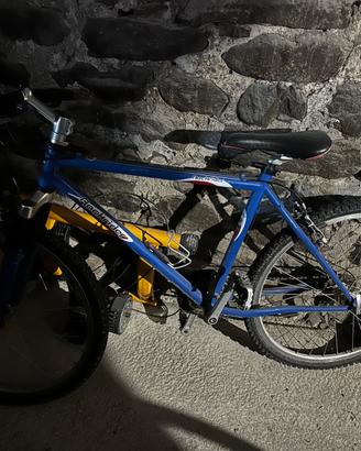 Bicicletta MTB