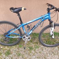 MTB  Galletti raggio 26