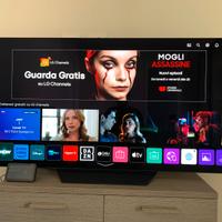 TV Oled LG 55 Perfetta