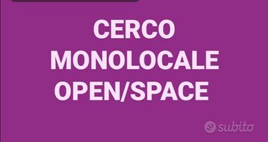 C.e.r.c.o monolocale