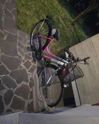 bicicletta da donna 