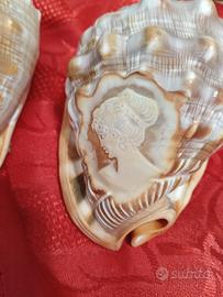Conchiglie decorative circa 20 cm