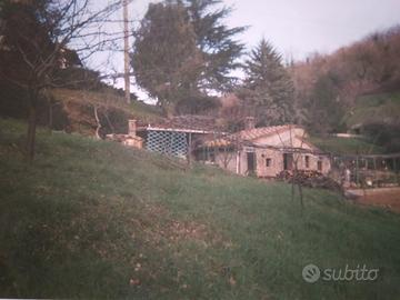 Terreno a Serrazzano (Pisa)