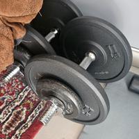 Manubri decathlon due coppie dischi ghisa pesi